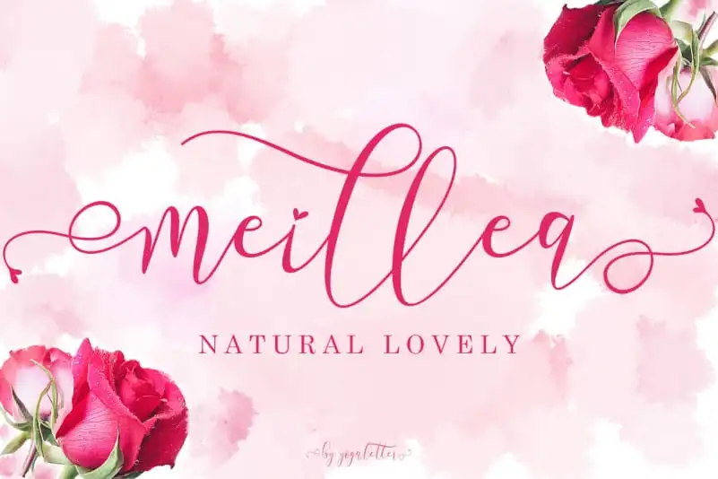 Meillea Calligraphy Font