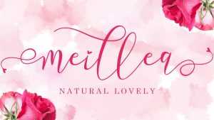Meillea Script Font › Fontesk