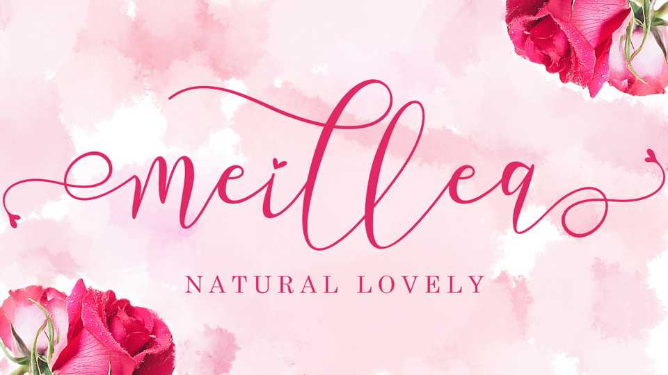 Meillea Script Font › Fontesk