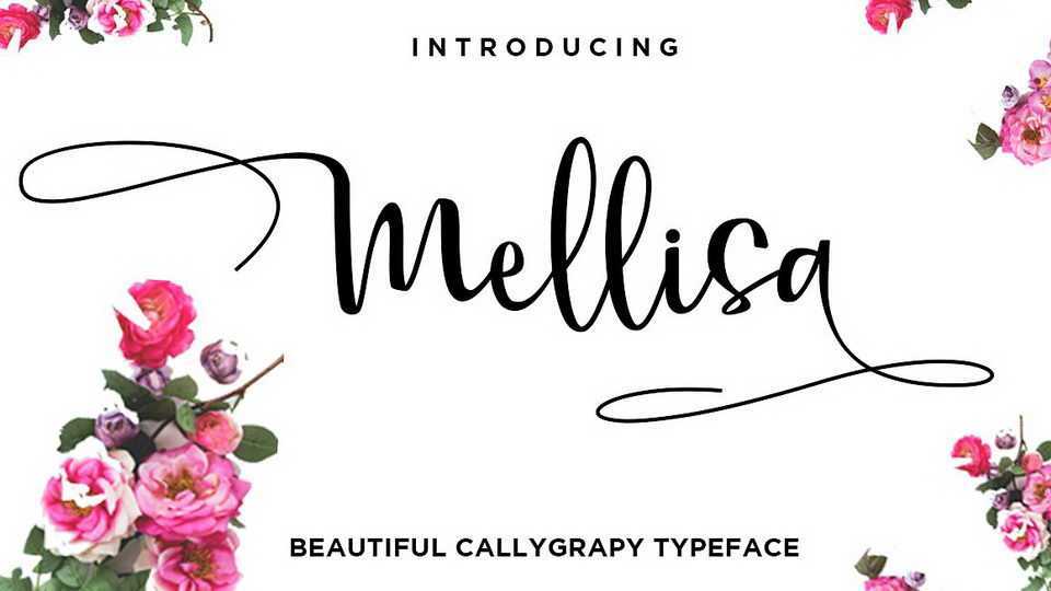 Melissa Script Font › Fontesk