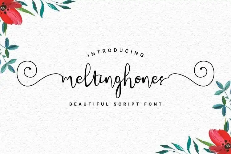 Meltinghones Calligraphy Font