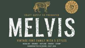 Melvis Typeface › Fontesk