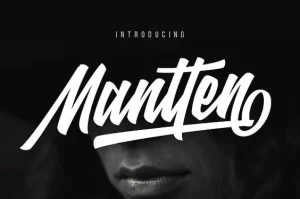 Mentari Script Font