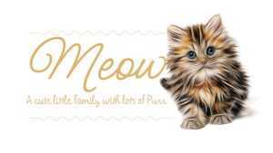 Meow Script Font › Fontesk