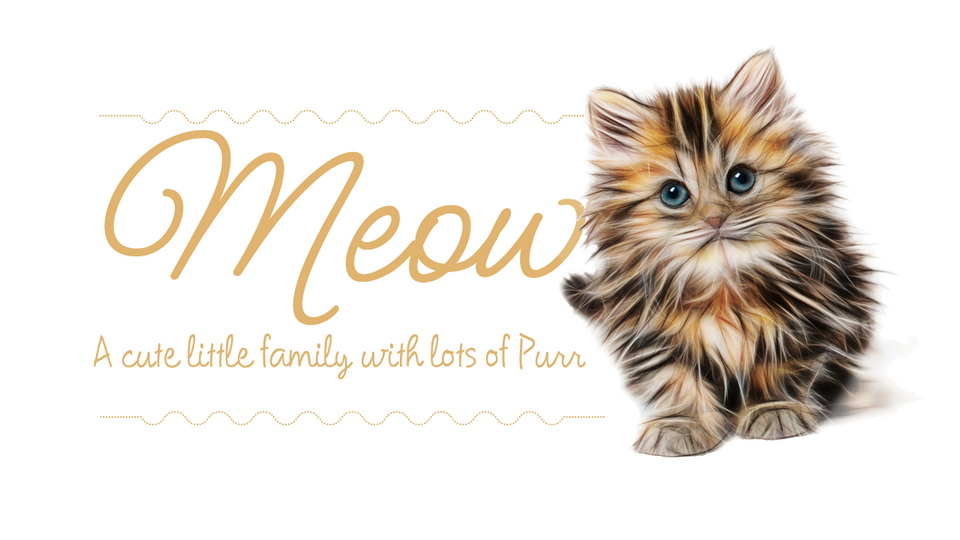Meow Script Font › Fontesk