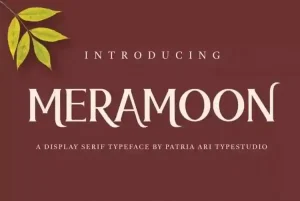 Meramoon Serif Font