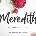 Meredith Brush Font