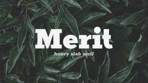 Merit Font Family › Fontesk