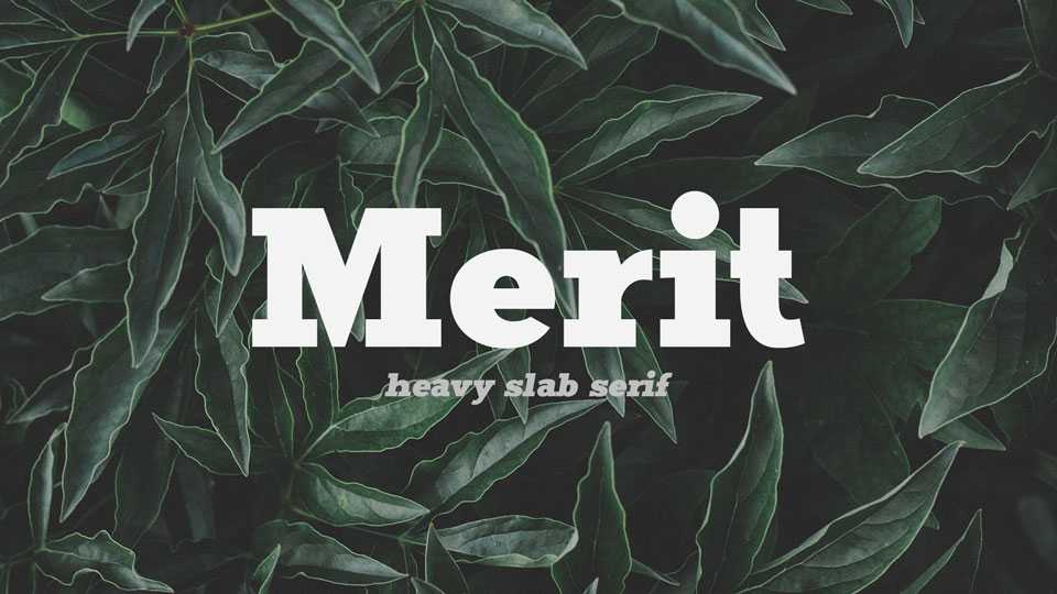 Merit Font Family › Fontesk