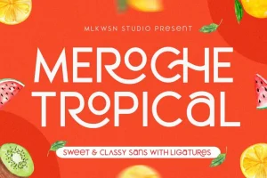Meroche Sans Font Family