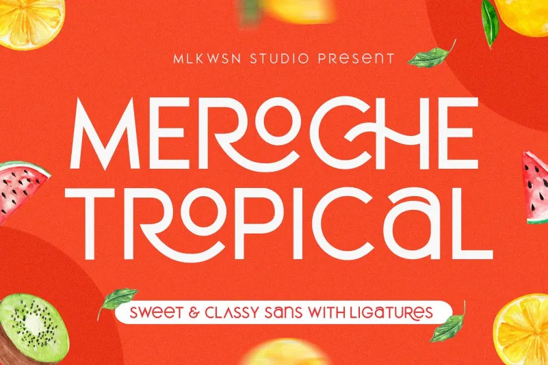 Meroche Sans Font Family