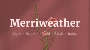 Merriweather Font Family › Fontesk