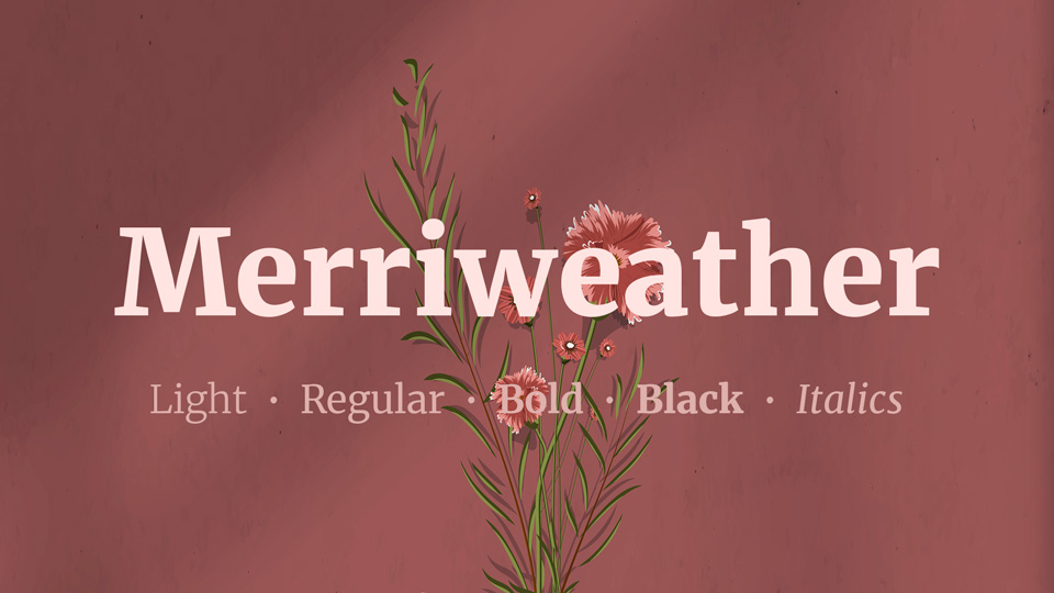 Merriweather Font Family › Fontesk
