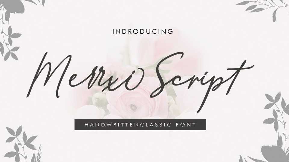 Merrxi Script Font › Fontesk