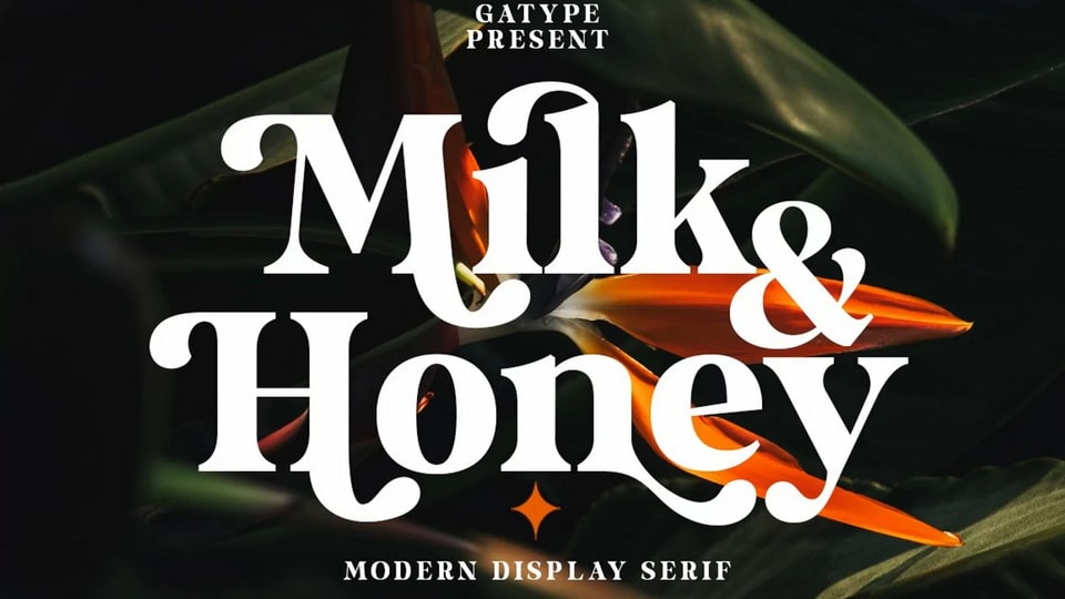 Milk and Honey Font › Fontesk