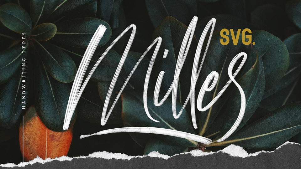 Milles Script Font › Fontesk