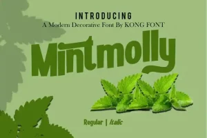 Mintmolly Display Font