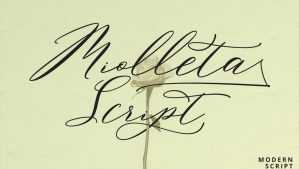 Miolleta Script Font › Fontesk