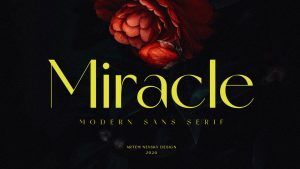 Miracle Font › Fontesk