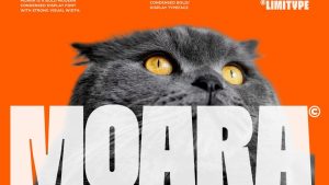 Moara Font › Fontesk