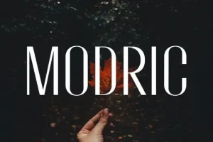 Modric Sans Serif Font