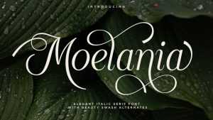 Moelania Font › Fontesk