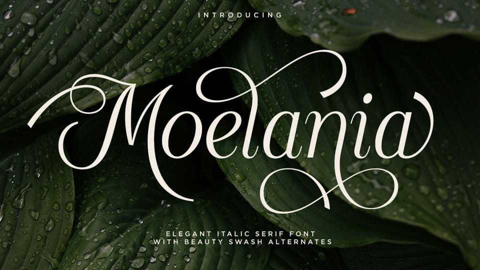 Moelania Font › Fontesk
