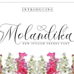 Molandika Calligraphy Font - Fonte Grátis Molandika Calligraphy Font