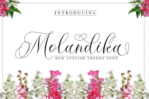 Molandika Calligraphy Font