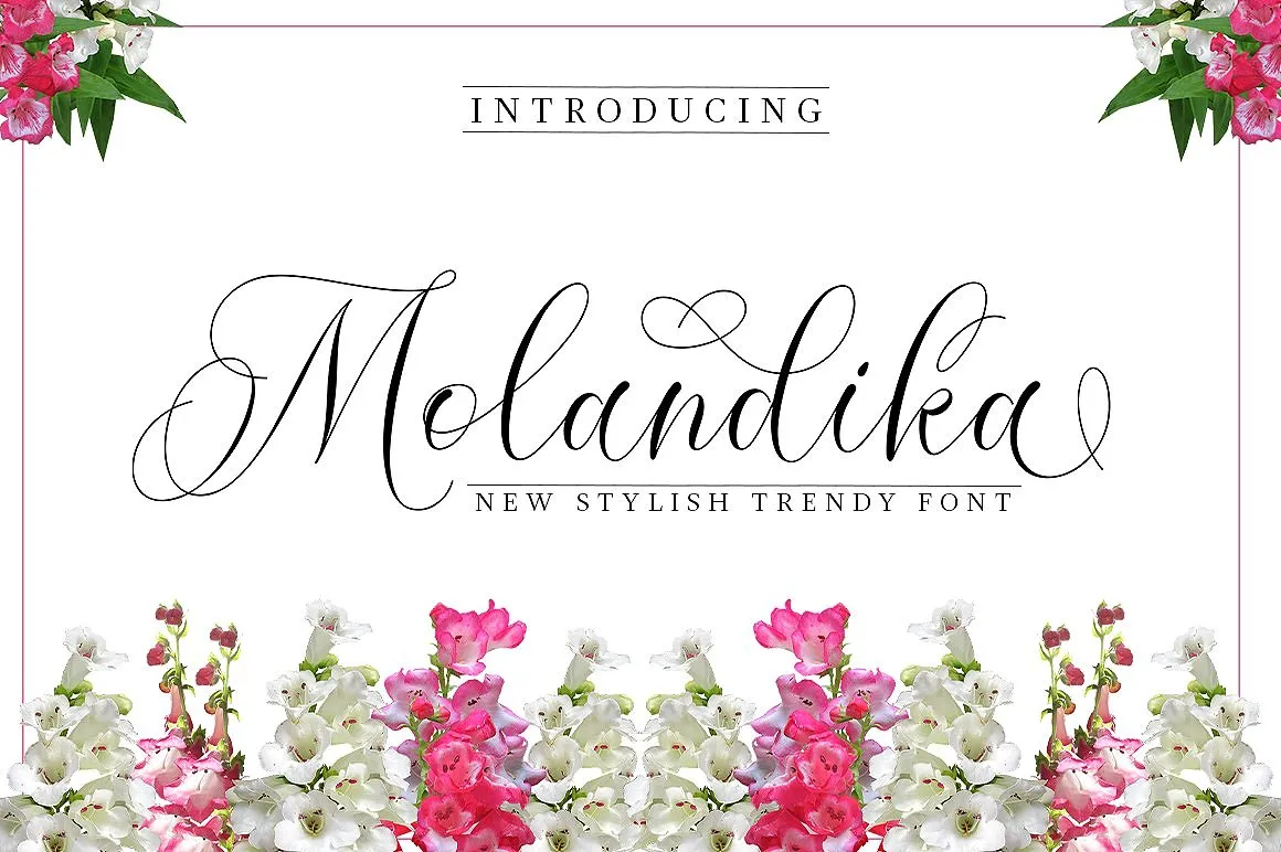 Molandika Calligraphy Font