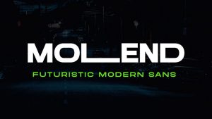 Molend Font › Fontesk