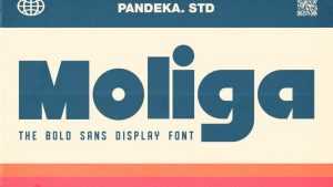 Moliga Font › Fontesk