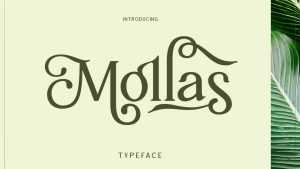 Mollas Font › Fontesk