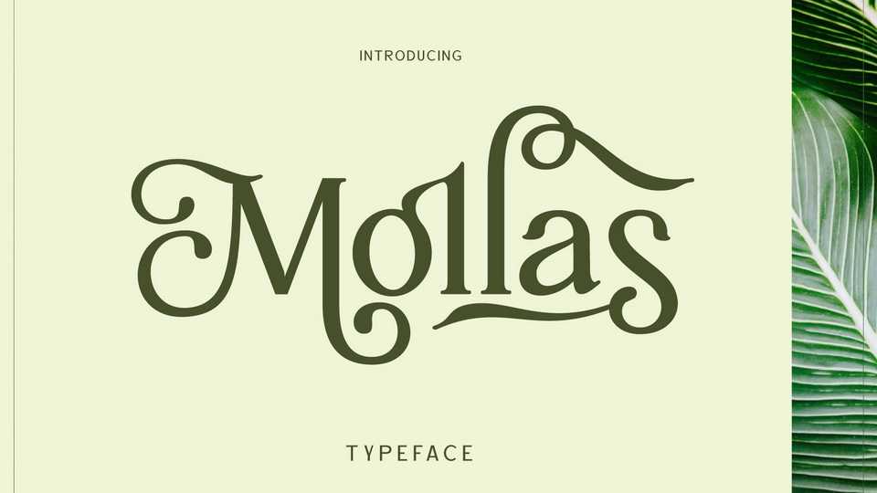Mollas Font › Fontesk