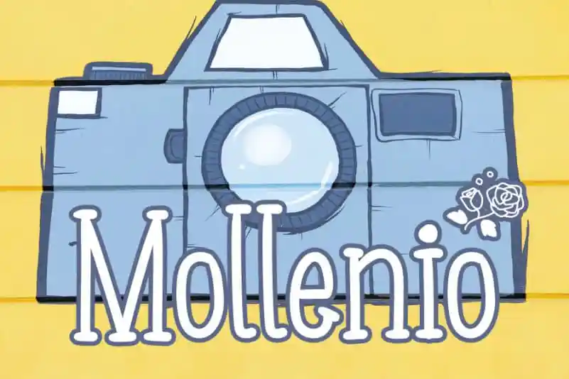 Mollenio Display Font