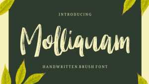 Molliquam Font › Fontesk