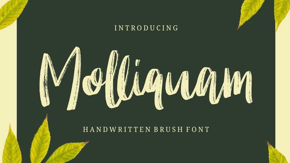 Molliquam Font › Fontesk