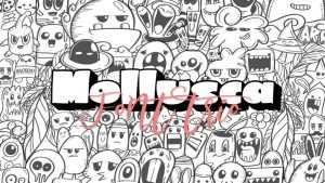 Mollusca Font Trio › Fontesk