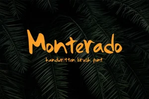 Monterado - Handwritten Brush Font