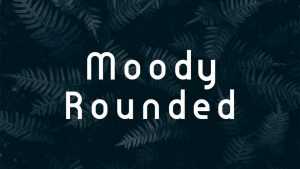 Moody Rounded Font › Fontesk