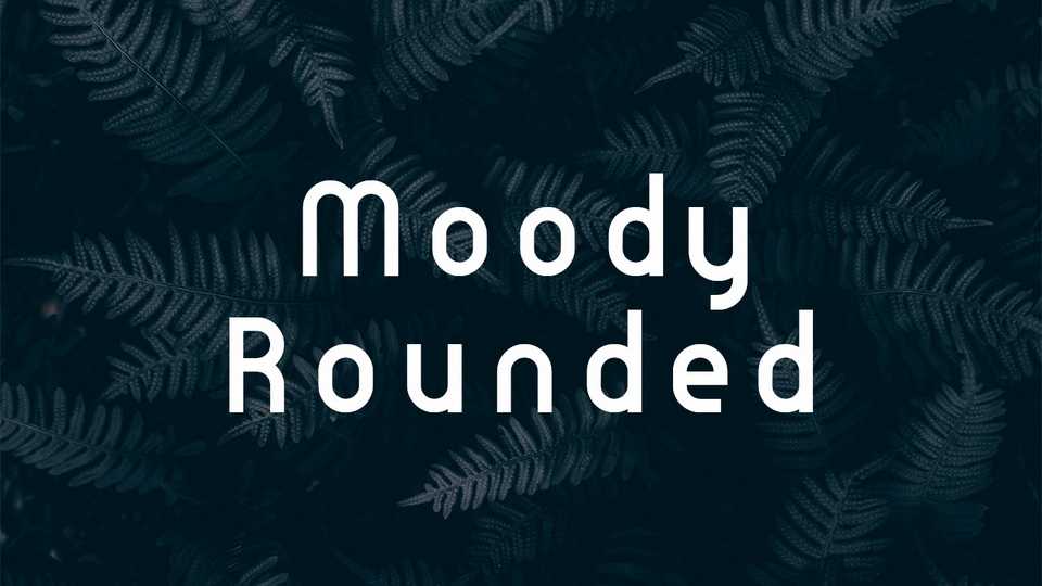 Moody Rounded Font › Fontesk