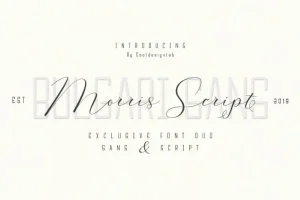 Morris Script Font Duo