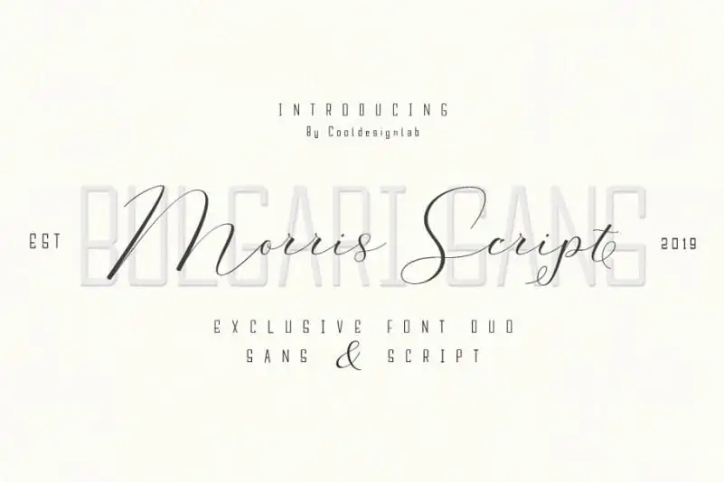 Morris Script Font Duo