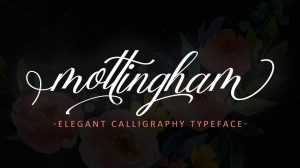 Mottingham Script Font › Fontesk