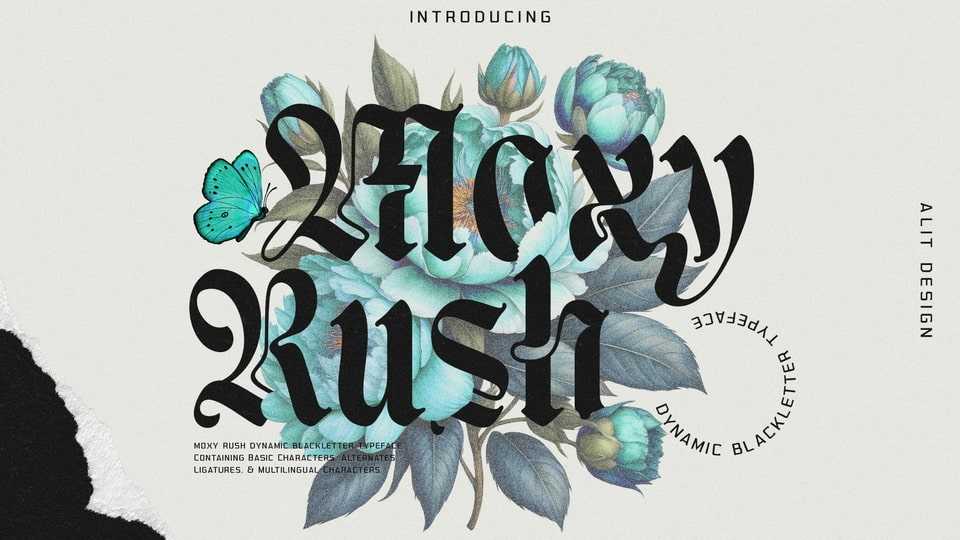 Moxy Rush Font › Fontesk