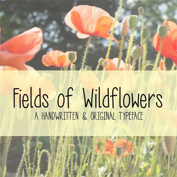 MRF Fields of Wildflowers Font