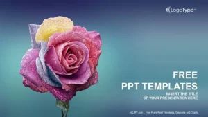 Multi Colors Rose PowerPoint Templates