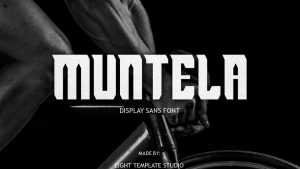 Muntela Font › Fontesk