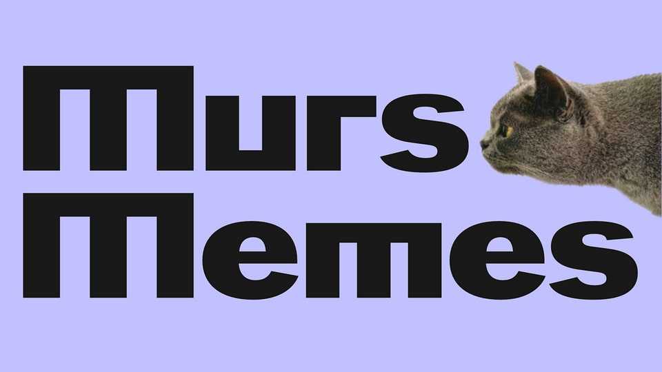 Murs Memes Font › Fontesk