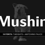 Mushin Sans Serif Font
